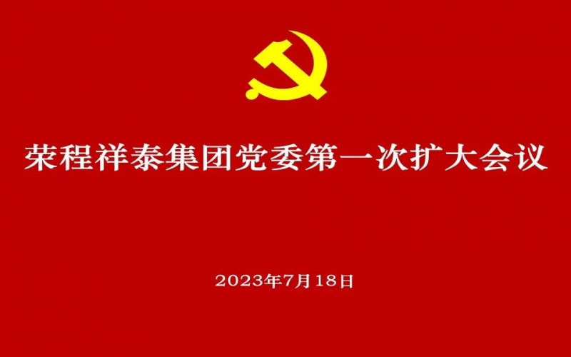 荣程祥泰集团党委获批成立 党委高标准部署推动选举工作